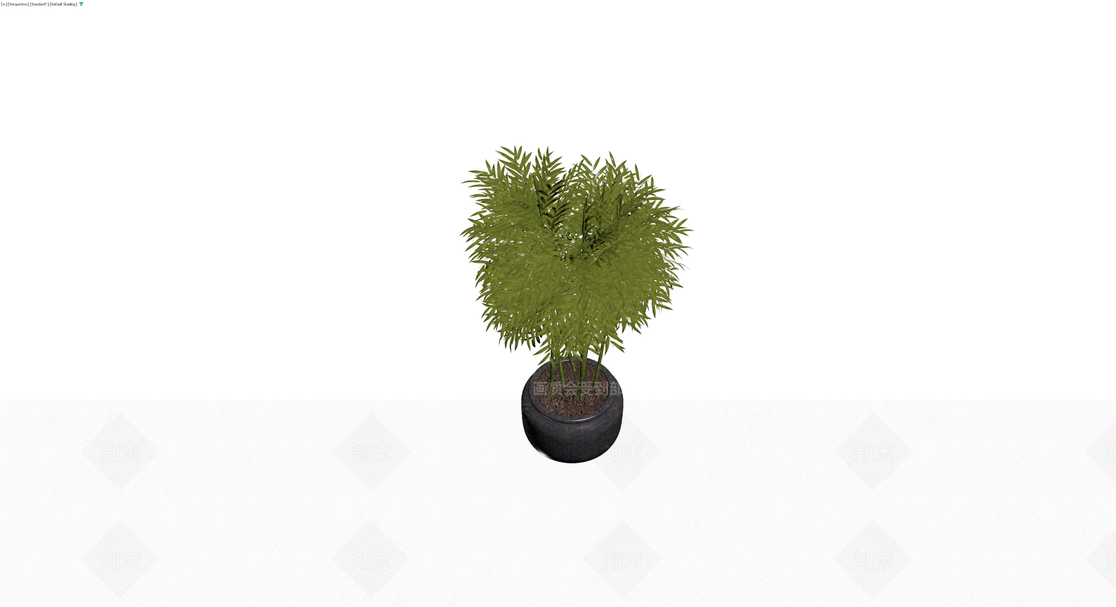 盆栽竹子植物3D模型下载【ID:1229918460】