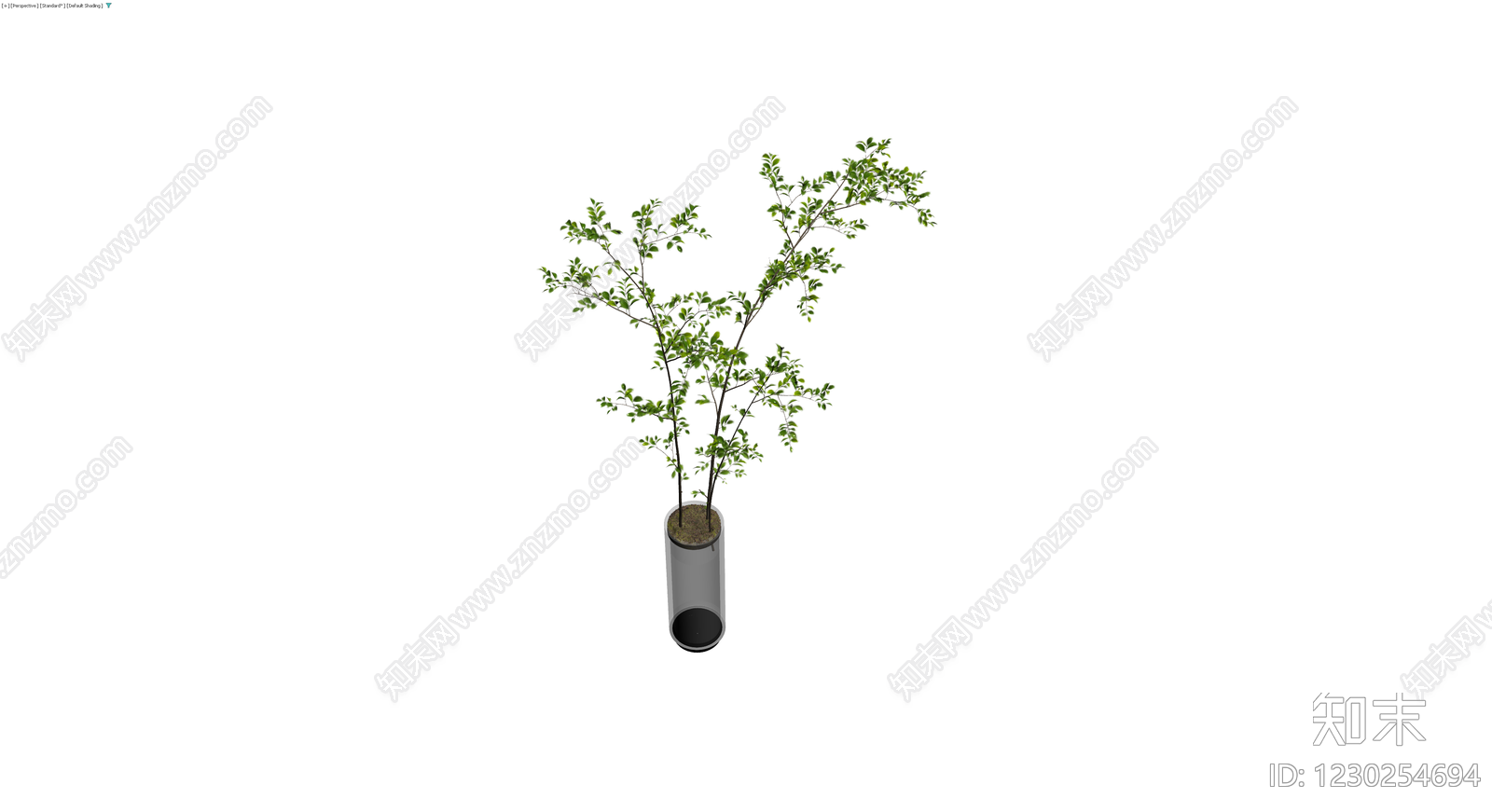 圆柱盆栽绿植3D模型下载【ID:1230254694】