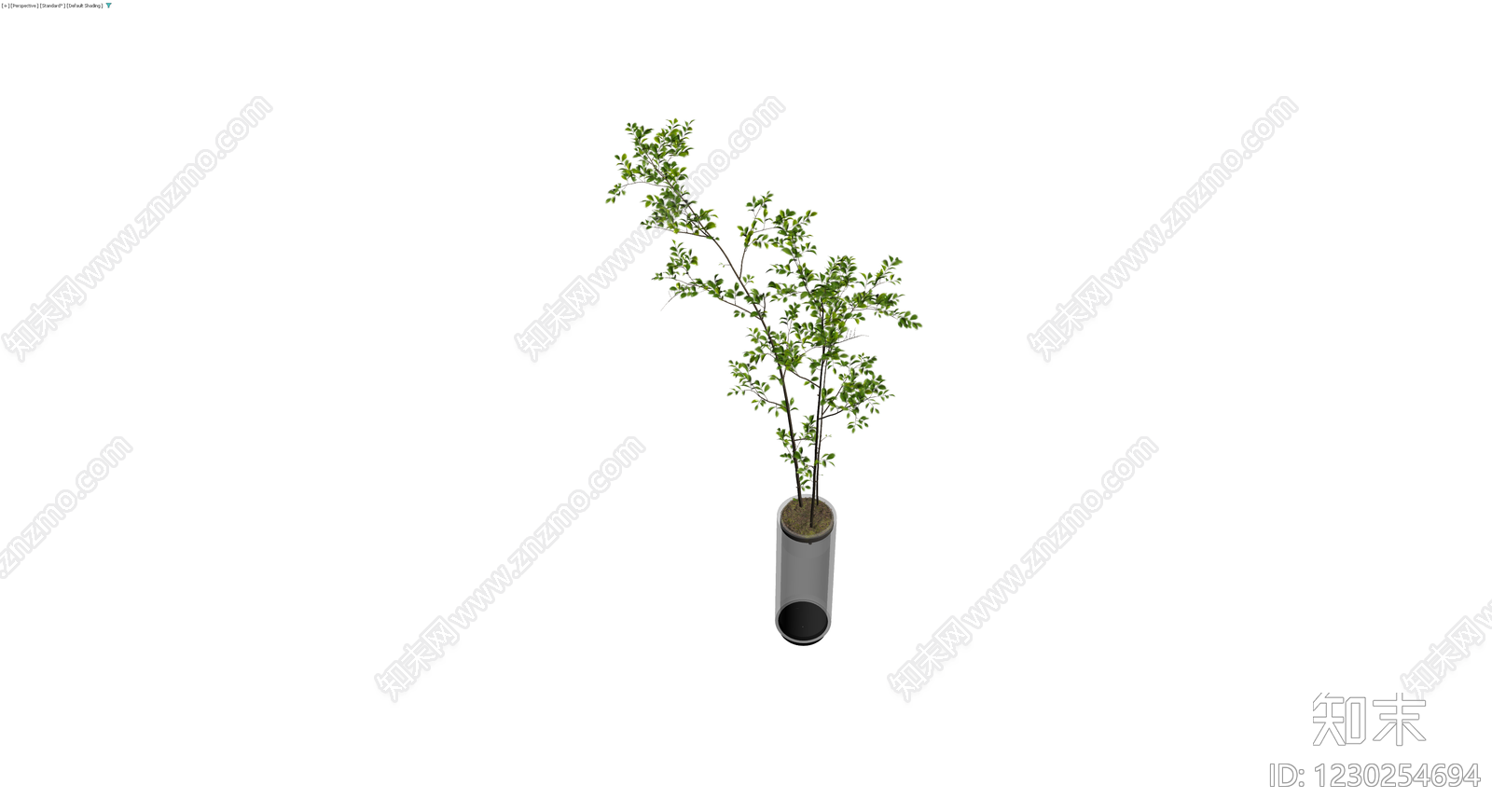 圆柱盆栽绿植3D模型下载【ID:1230254694】