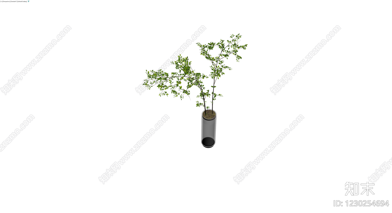 圆柱盆栽绿植3D模型下载【ID:1230254694】