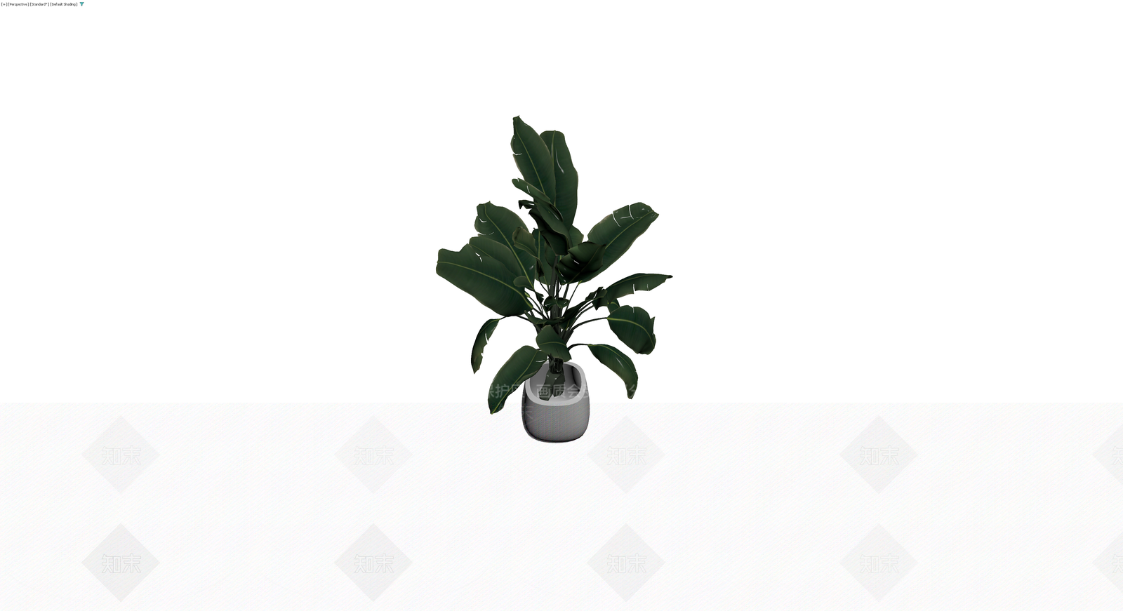 灰模盆栽植物模型3D模型下载【ID:1230322078】