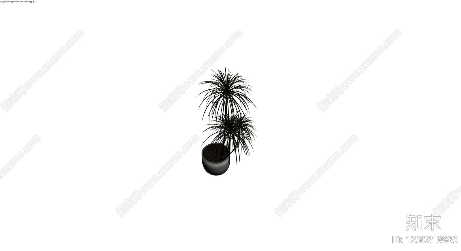 盆栽植物带盆3D模型下载【ID:1230819986】