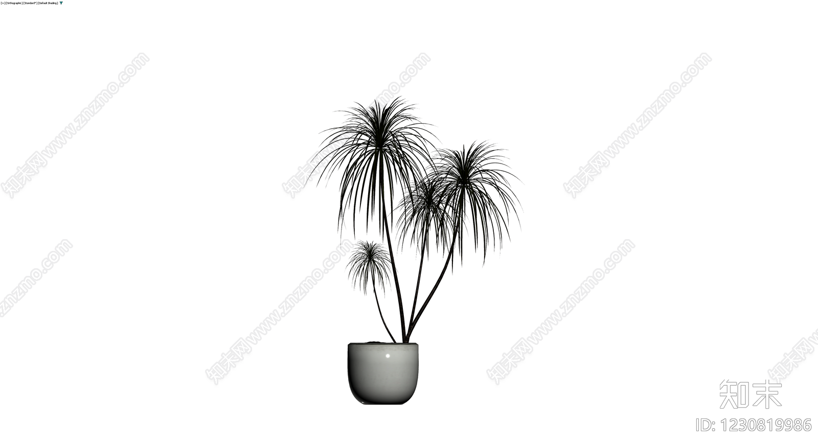 盆栽植物带盆3D模型下载【ID:1230819986】