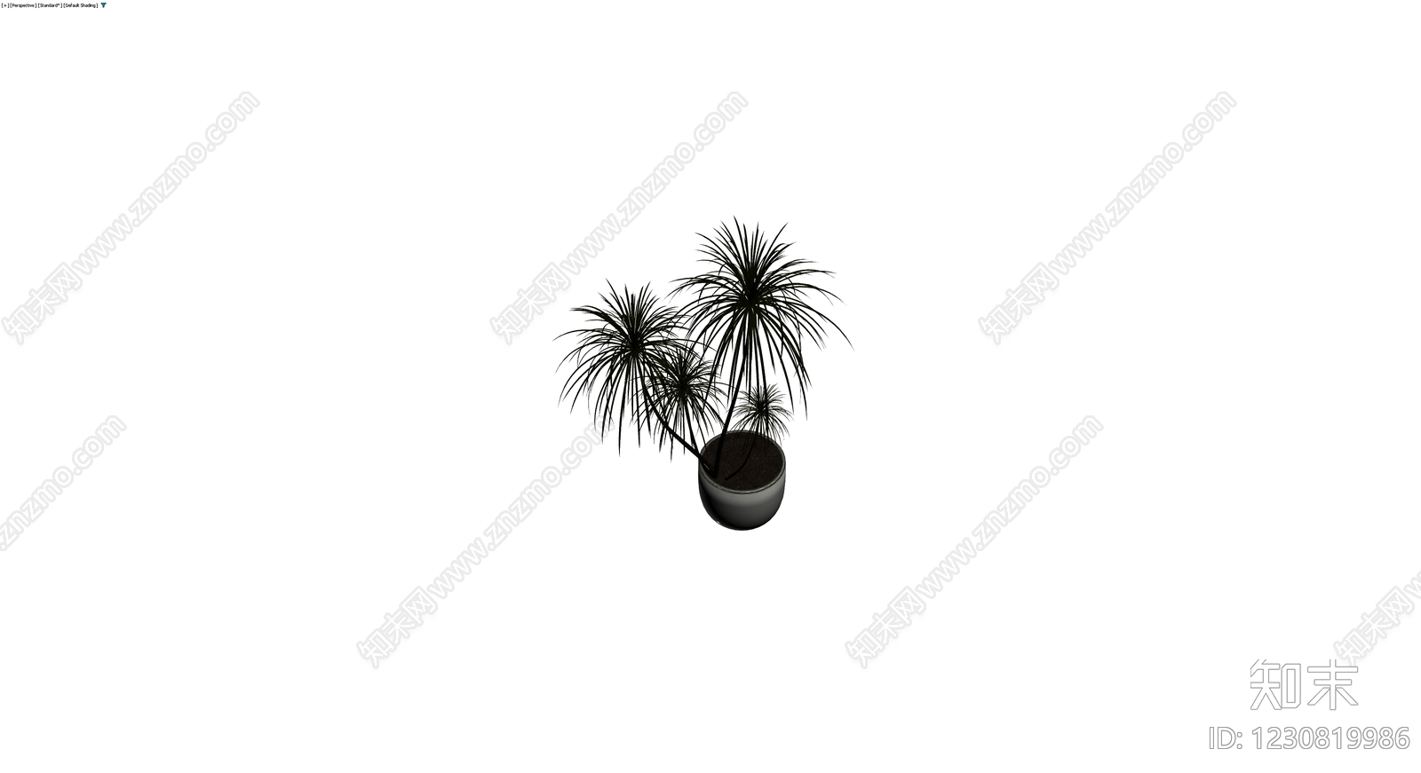 盆栽植物带盆3D模型下载【ID:1230819986】