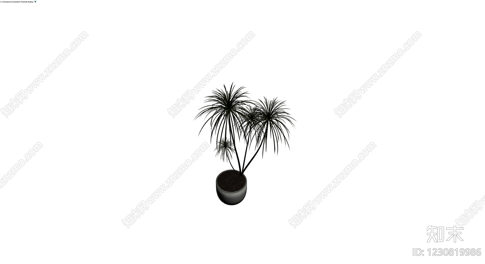 盆栽植物带盆3D模型下载【ID:1230819986】