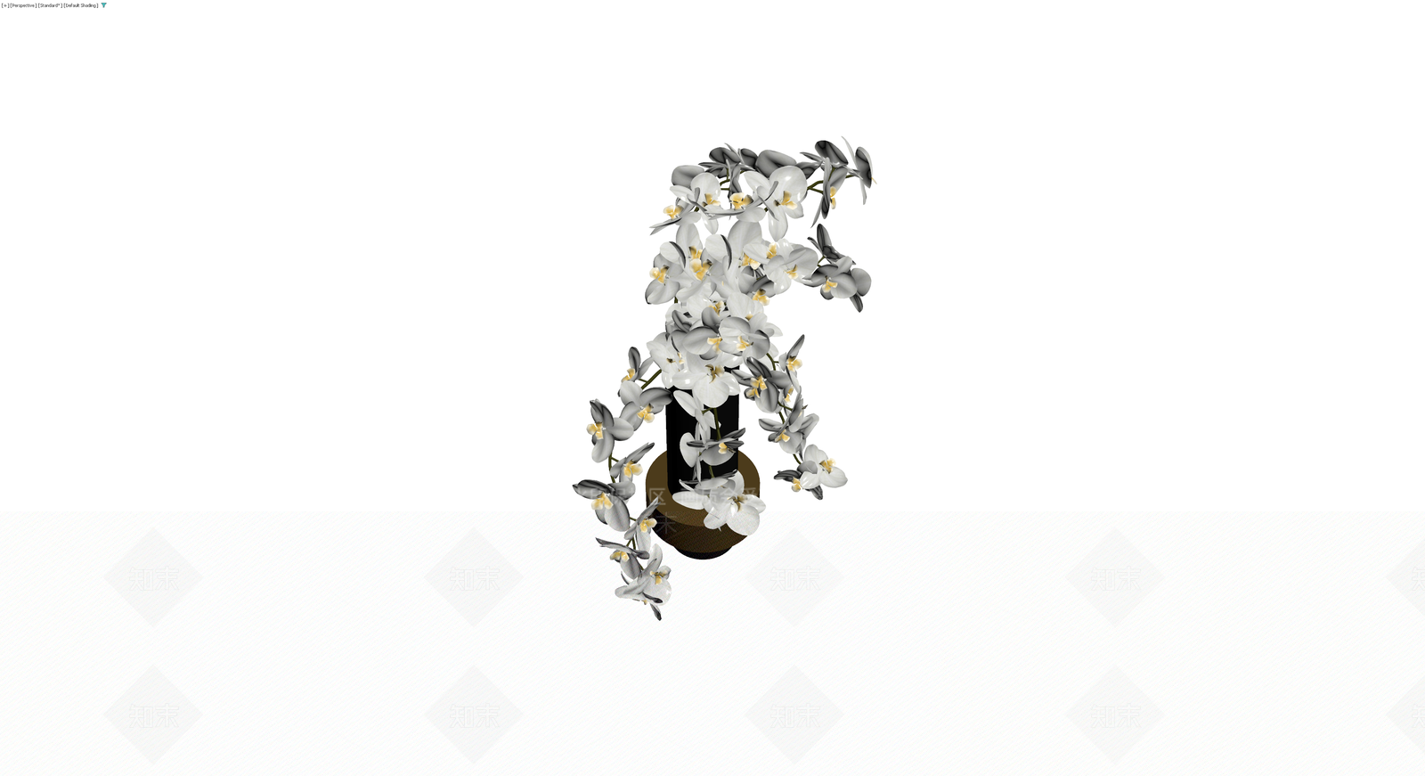 白兰盆栽组合3D模型下载【ID:1230766707】