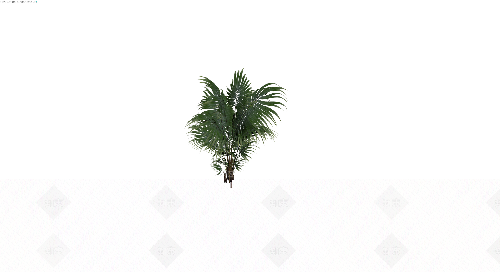 丛生散尾葵盆栽3D模型下载【ID:1230425216】