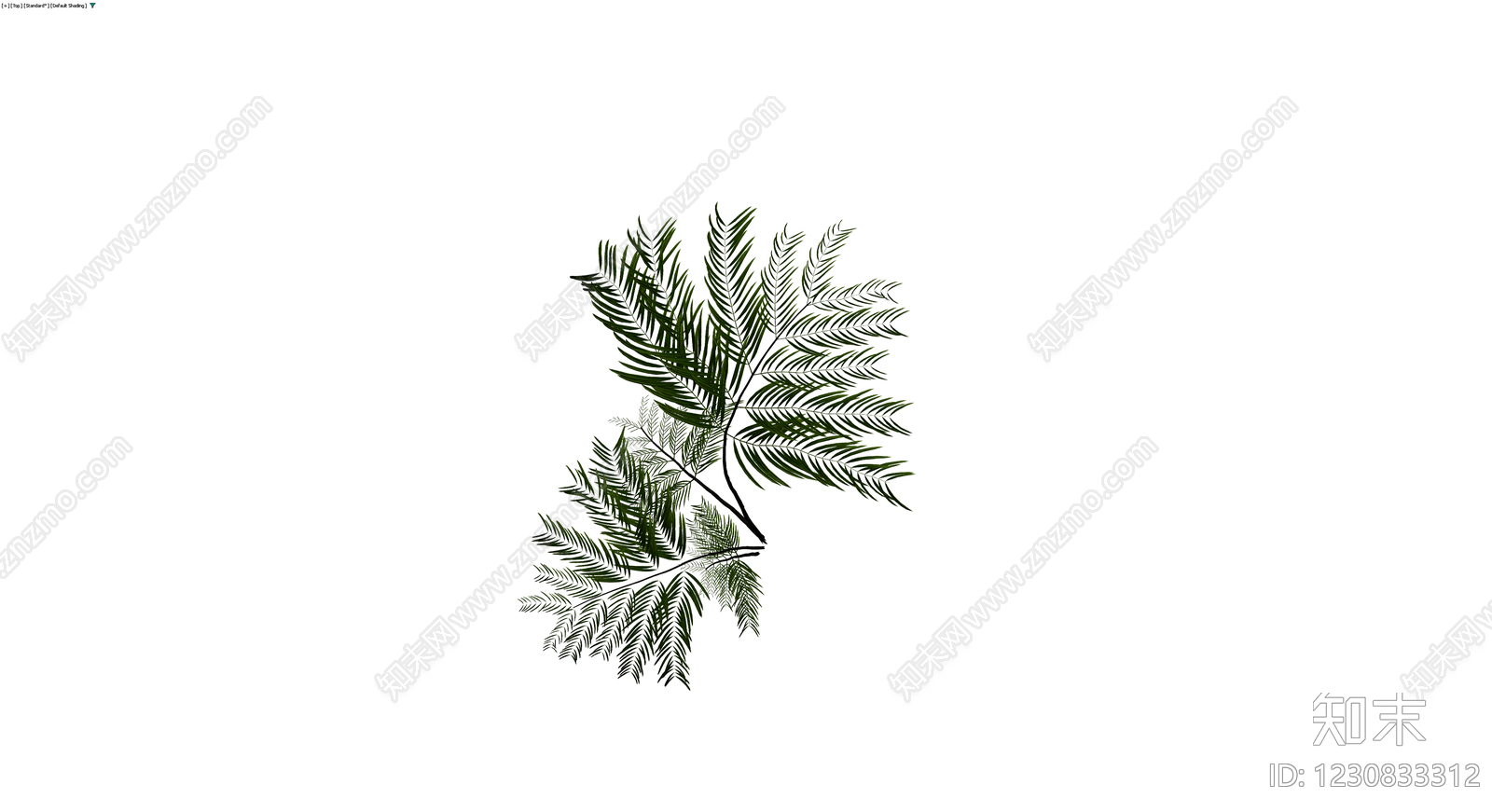 多株组合蕨类植物3D模型下载【ID:1230833312】