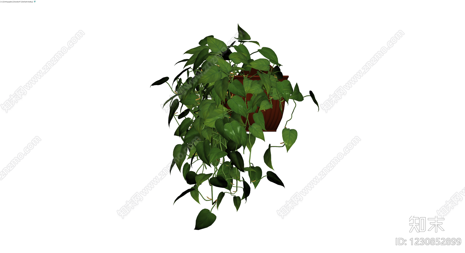 带盆绿萝盆栽3D模型下载【ID:1230852899】