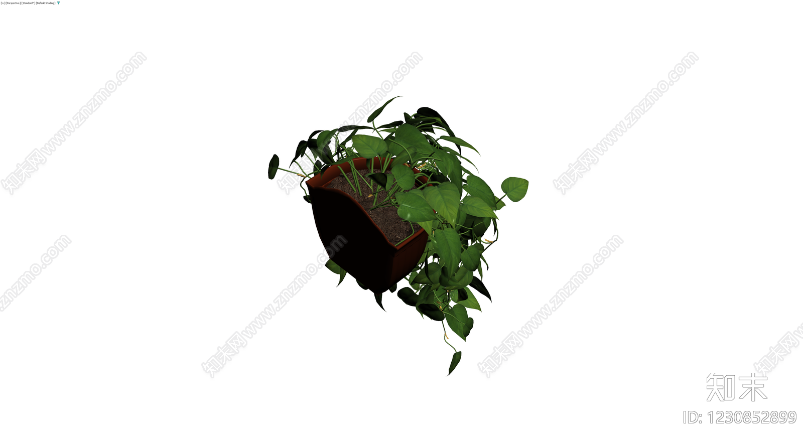 带盆绿萝盆栽3D模型下载【ID:1230852899】