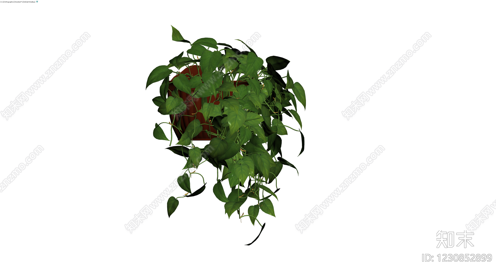 带盆绿萝盆栽3D模型下载【ID:1230852899】