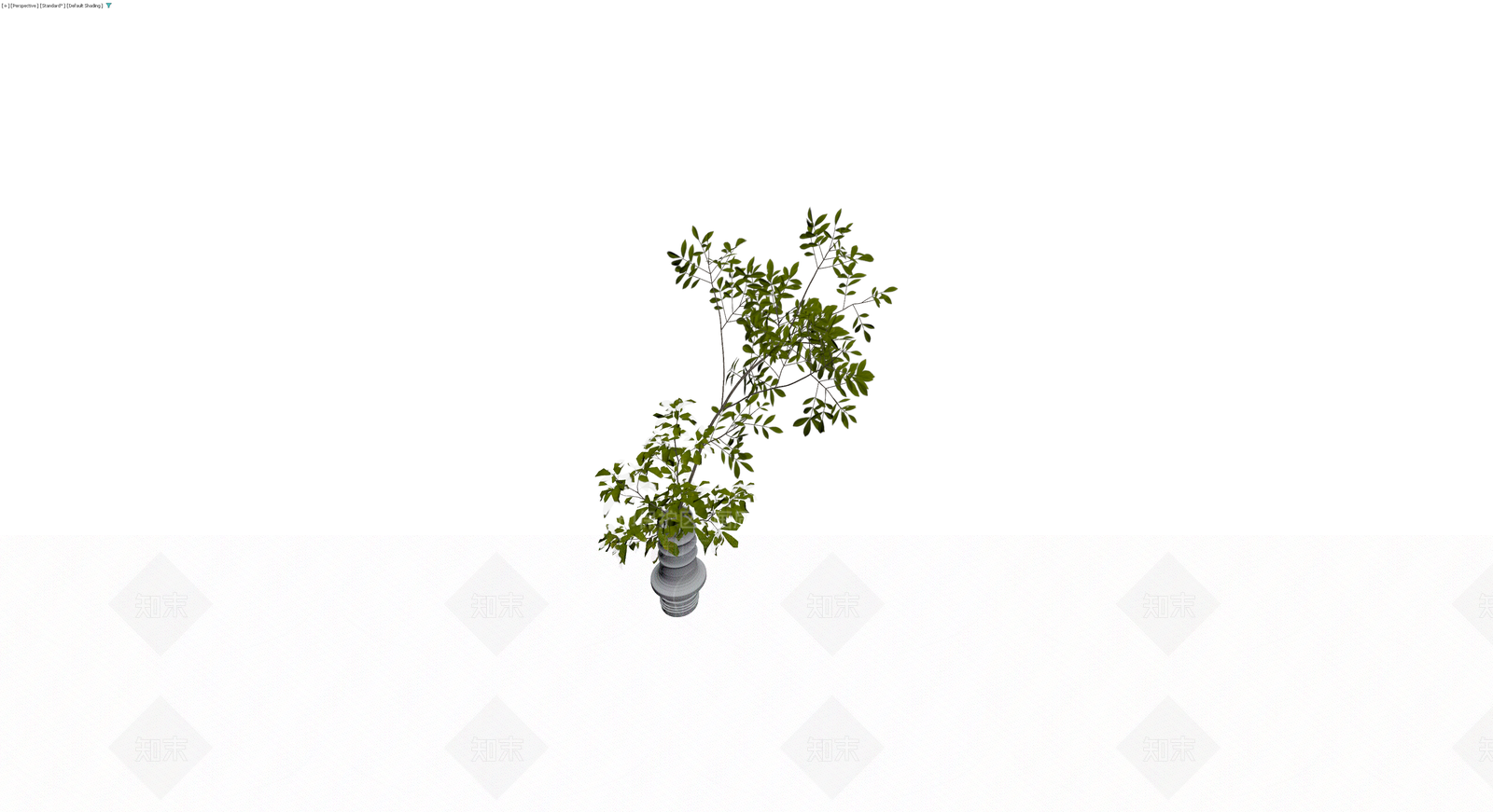 盆栽植物与花瓶组合3D模型下载【ID:1230755895】