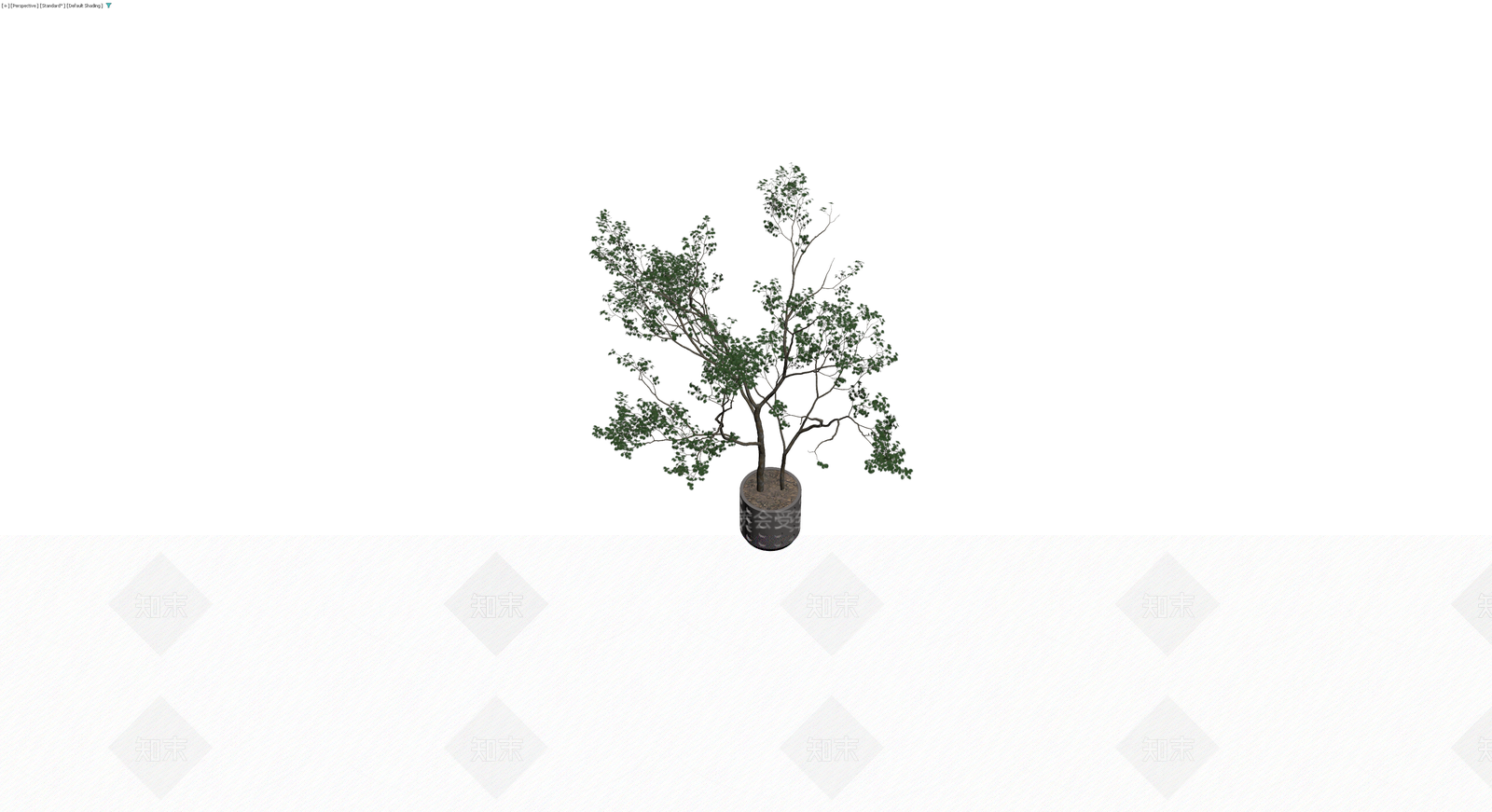 双干盆栽绿植模型3D模型下载【ID:1230342681】