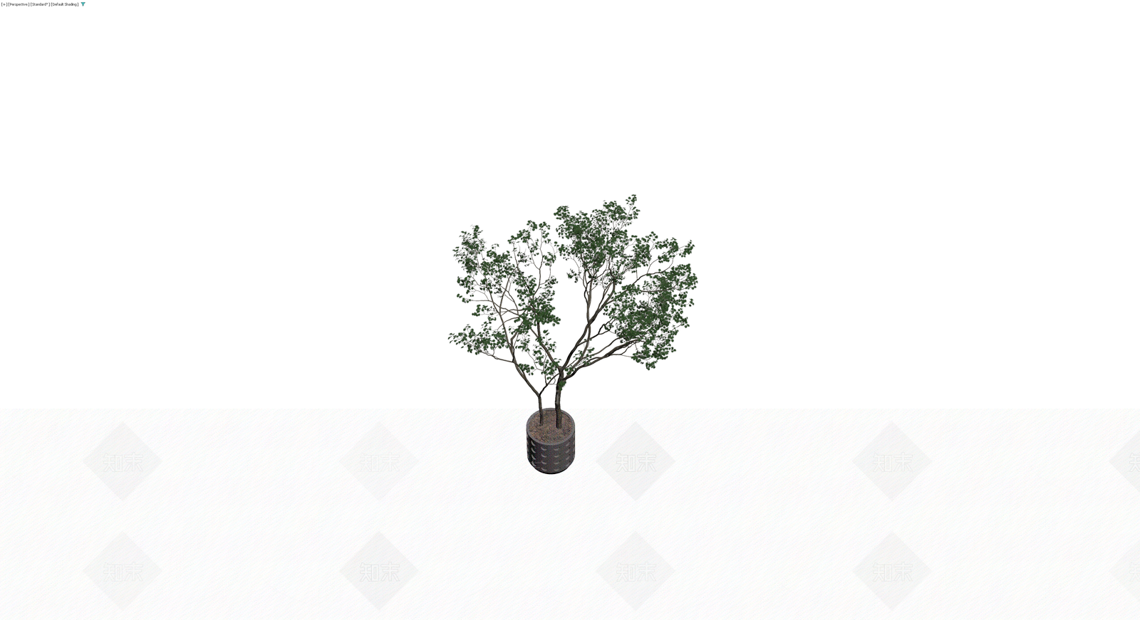 双干盆栽绿植模型3D模型下载【ID:1230342681】
