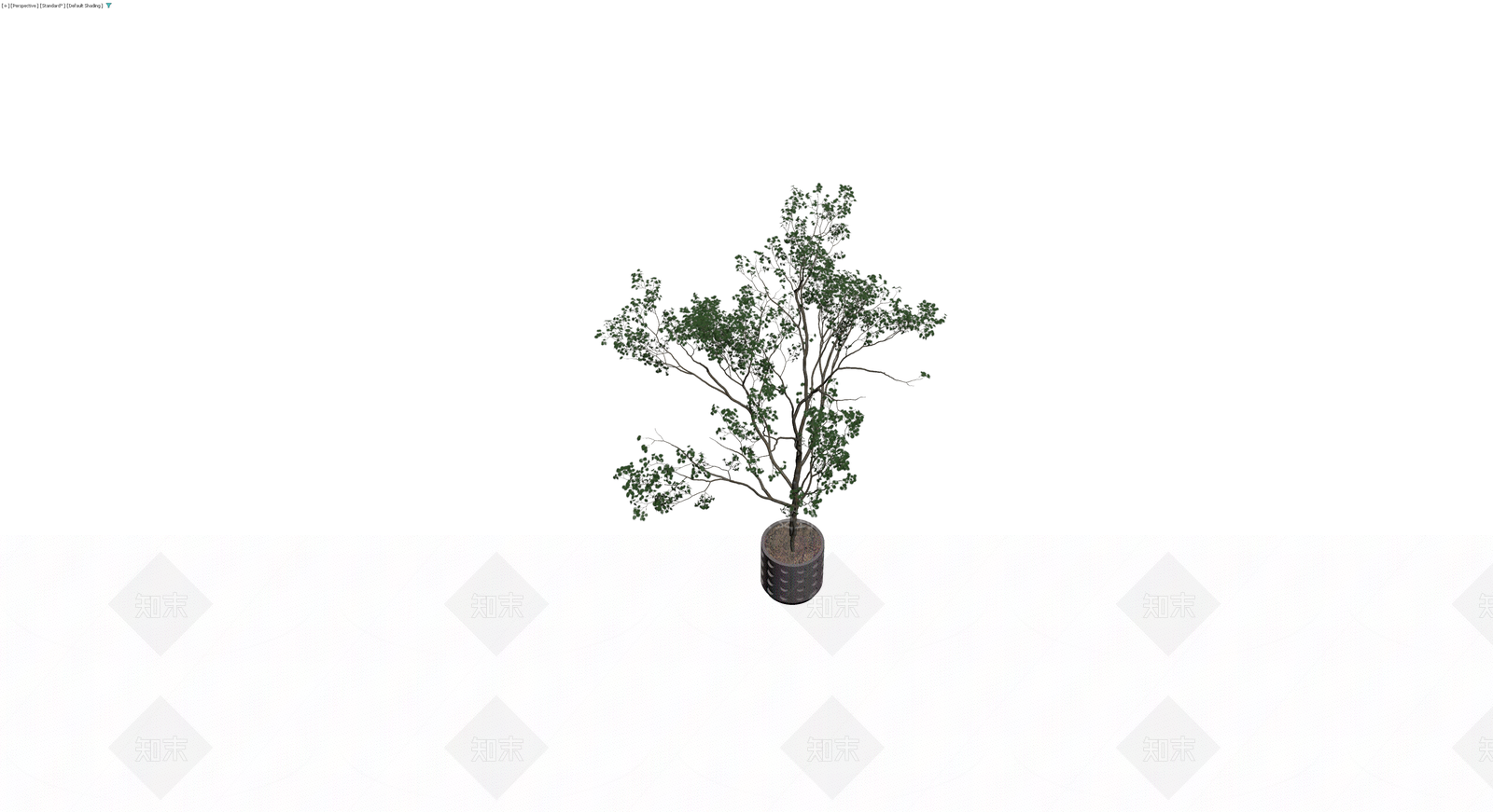 双干盆栽绿植模型3D模型下载【ID:1230342681】