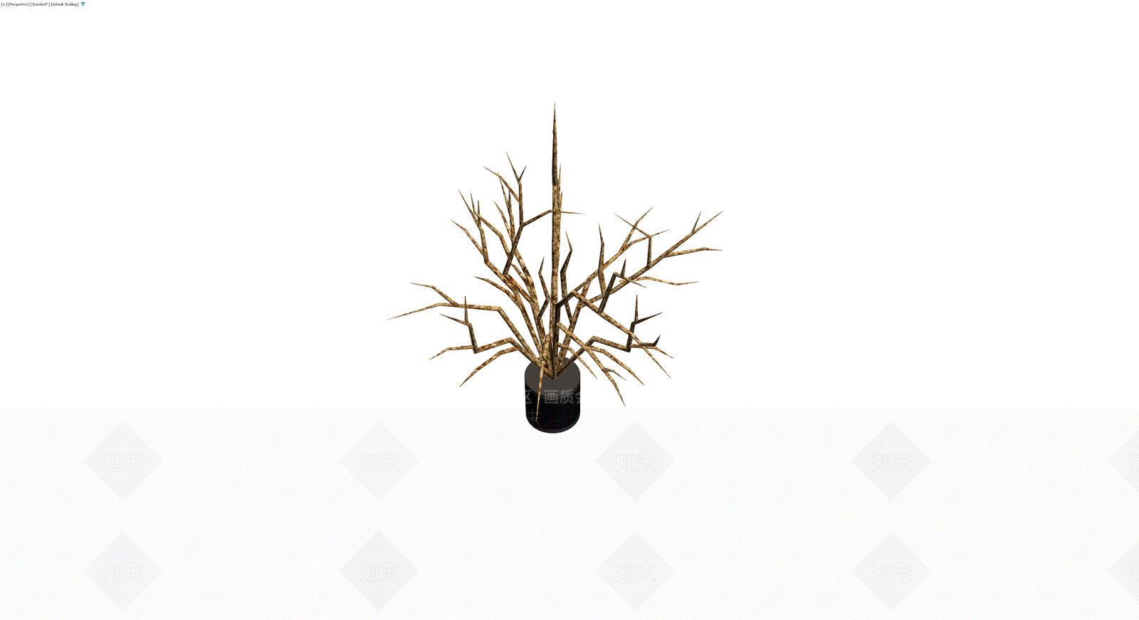 盆栽枯枝植物模型3D模型下载【ID:1230727964】