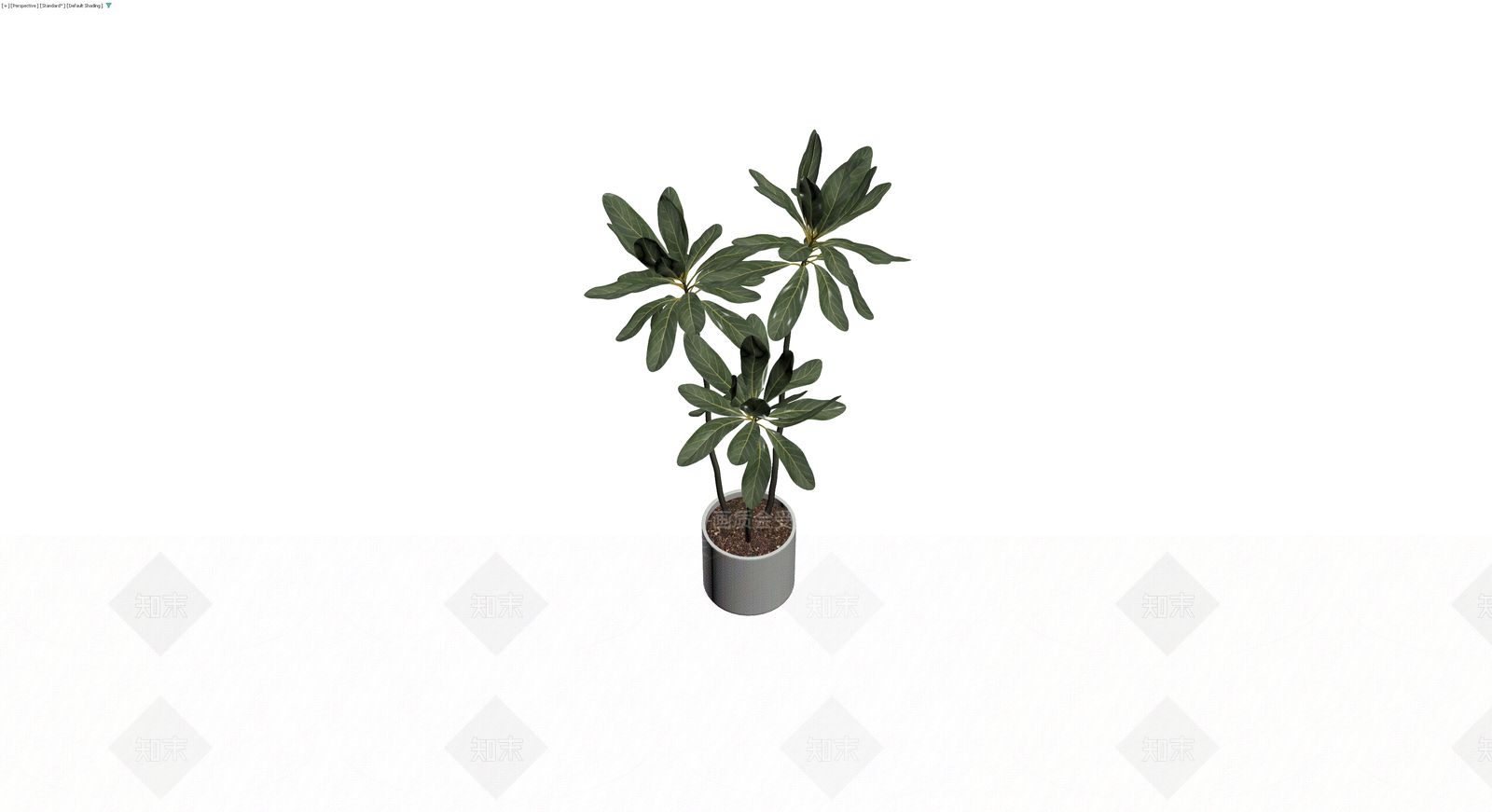 盆栽绿植组合3D模型下载【ID:1229612559】