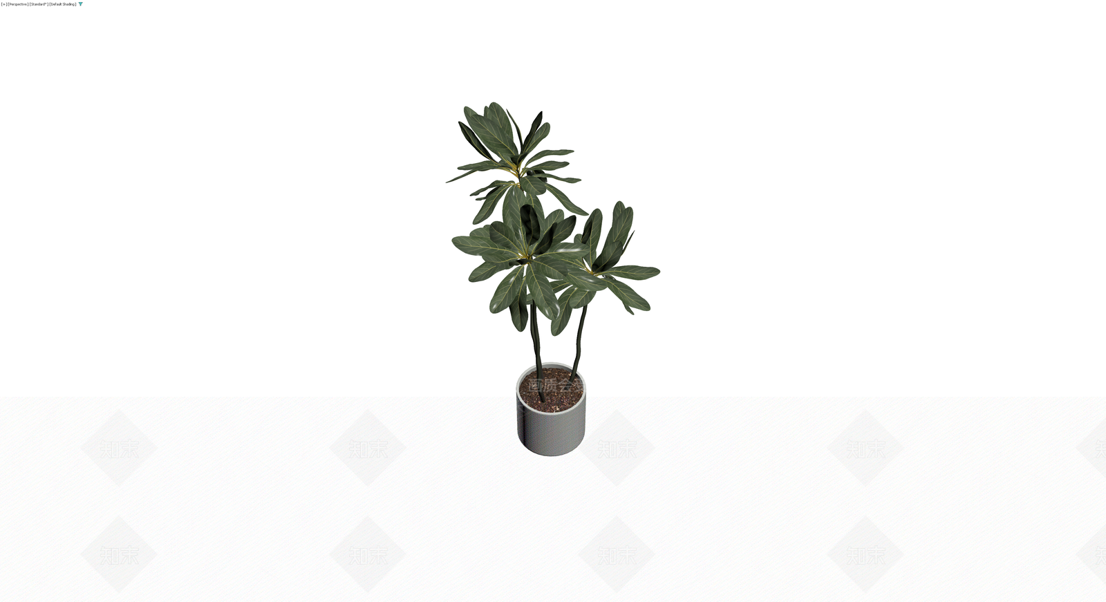 盆栽绿植组合3D模型下载【ID:1229612559】