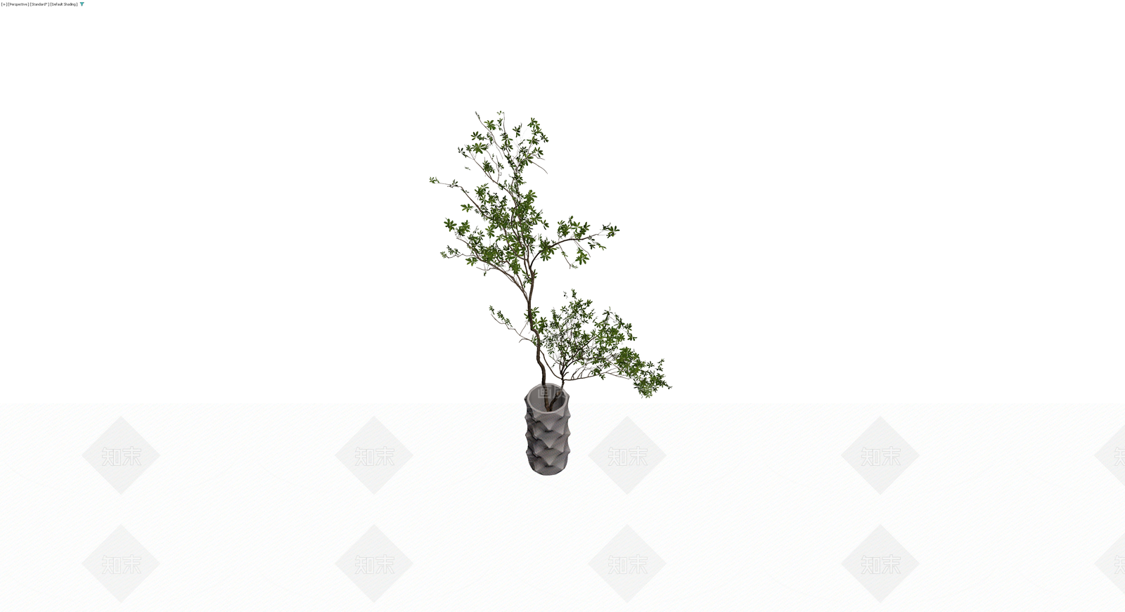 盆栽绿植带纹理花盆3D模型下载【ID:1230363660】
