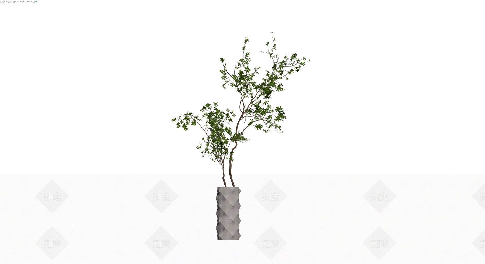 盆栽绿植带纹理花盆3D模型下载【ID:1230363660】