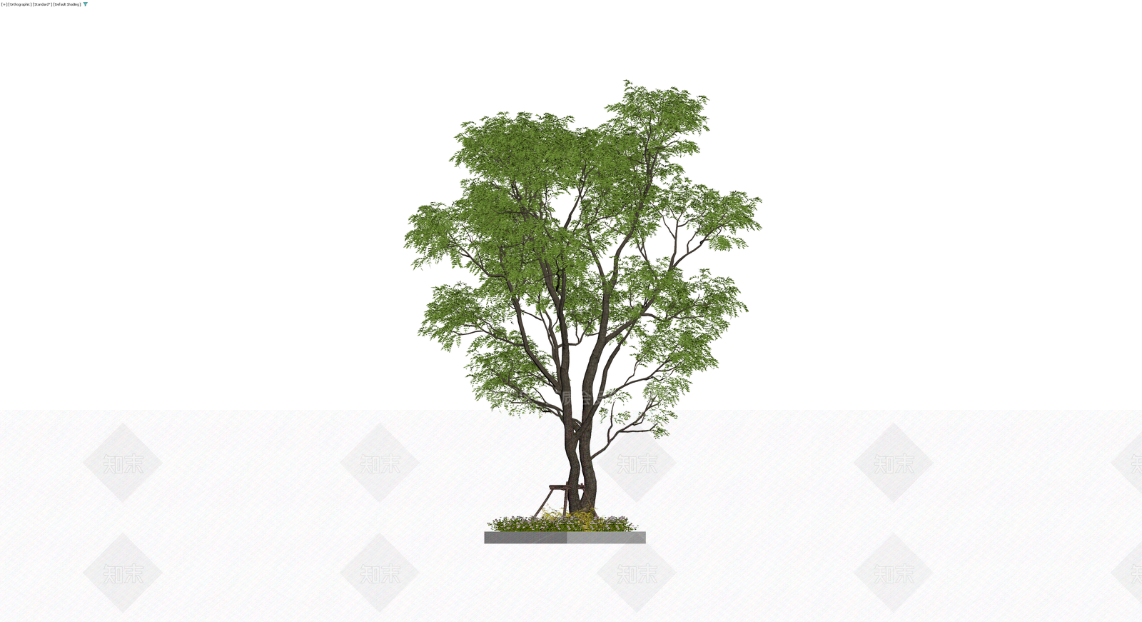 双干乔木景观盆栽3D模型下载【ID:1229927228】