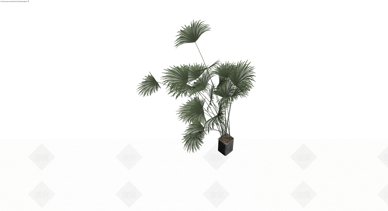 盆栽棕榈植物模型3D模型下载【ID:1230560096】