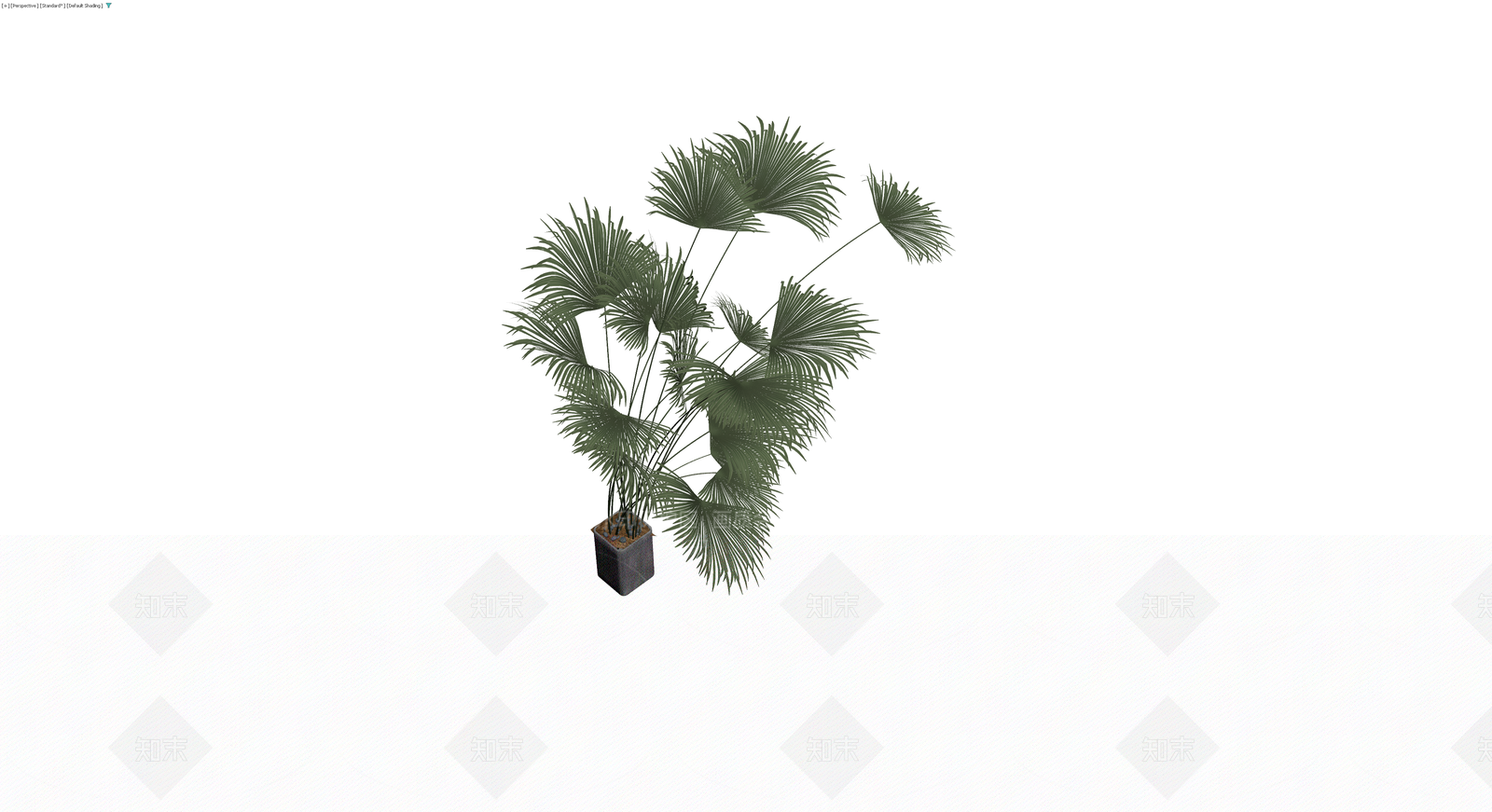 盆栽棕榈植物模型3D模型下载【ID:1230560096】