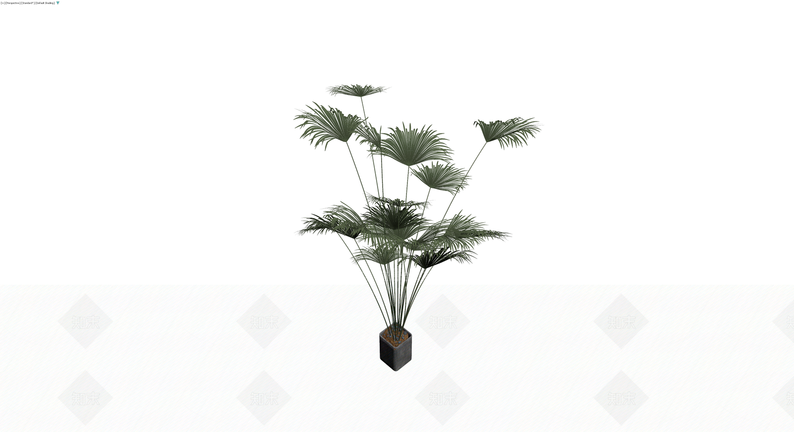 盆栽棕榈植物模型3D模型下载【ID:1230560096】