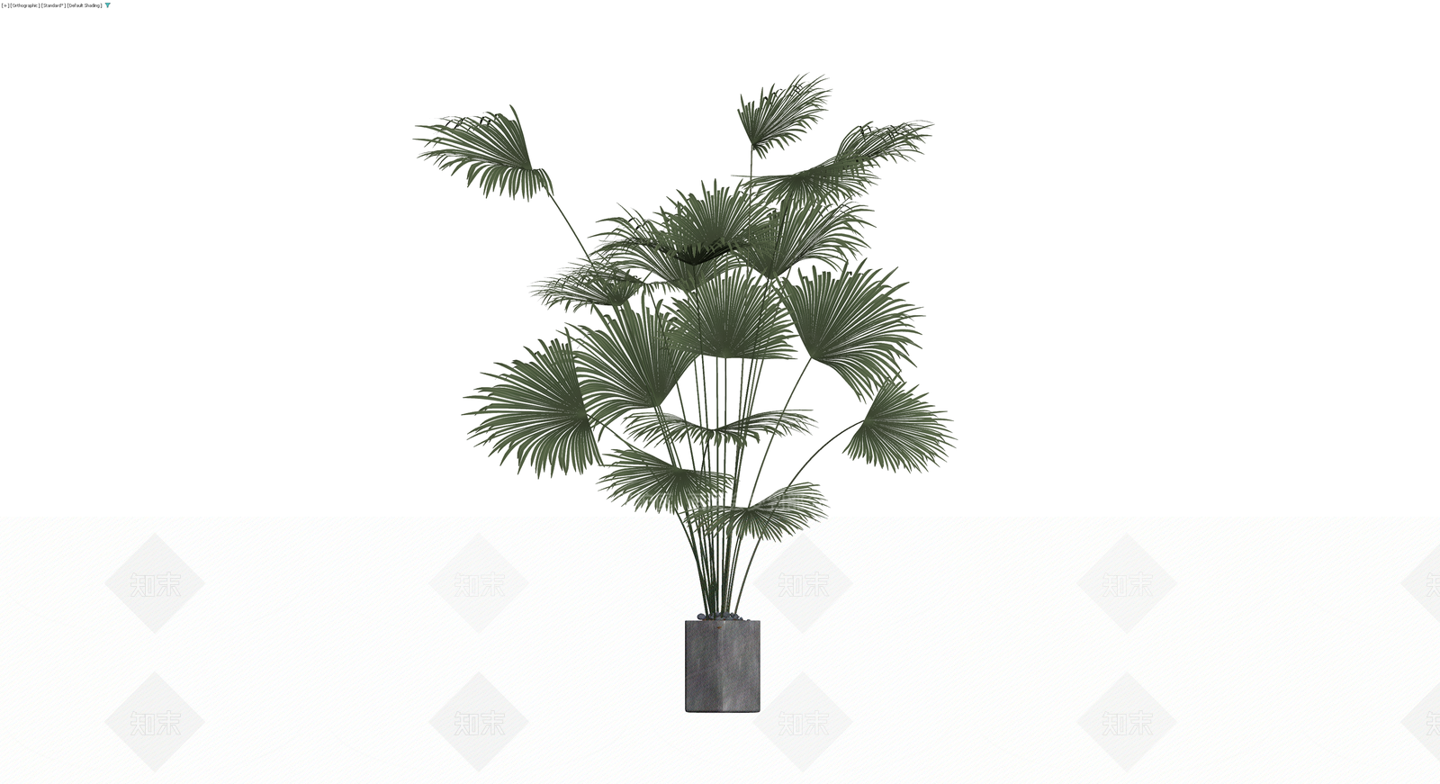 盆栽棕榈植物模型3D模型下载【ID:1230560096】