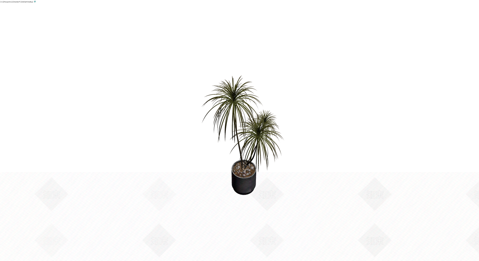 盆栽植物组合（带盆）3D模型下载【ID:1230604851】