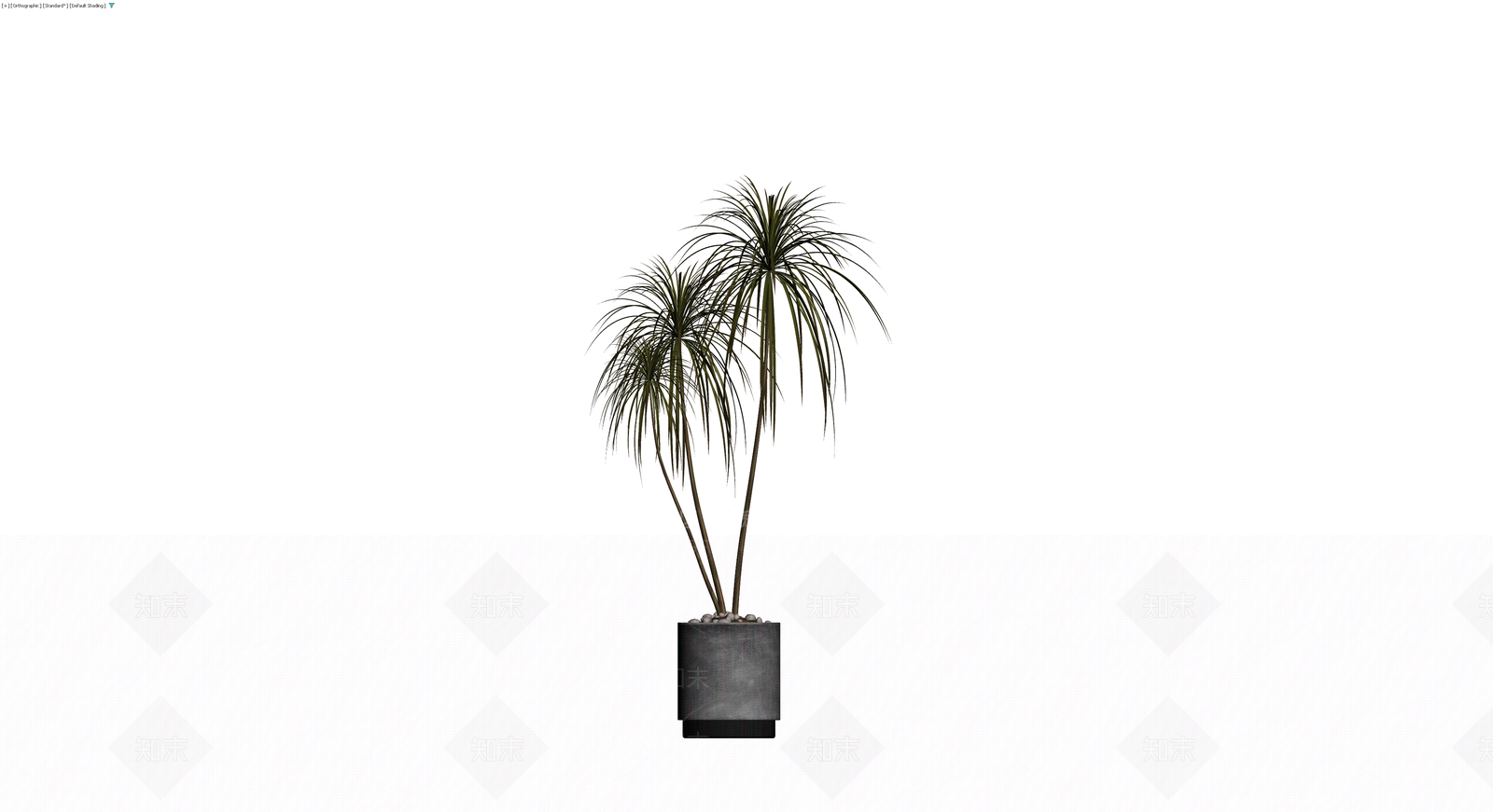 盆栽植物组合（带盆）3D模型下载【ID:1230604851】