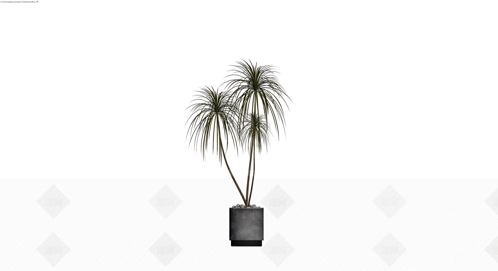 盆栽植物组合（带盆）3D模型下载【ID:1230604851】