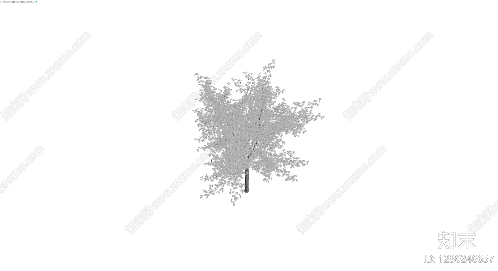 灰模景观乔木模型3D模型下载【ID:1230246657】