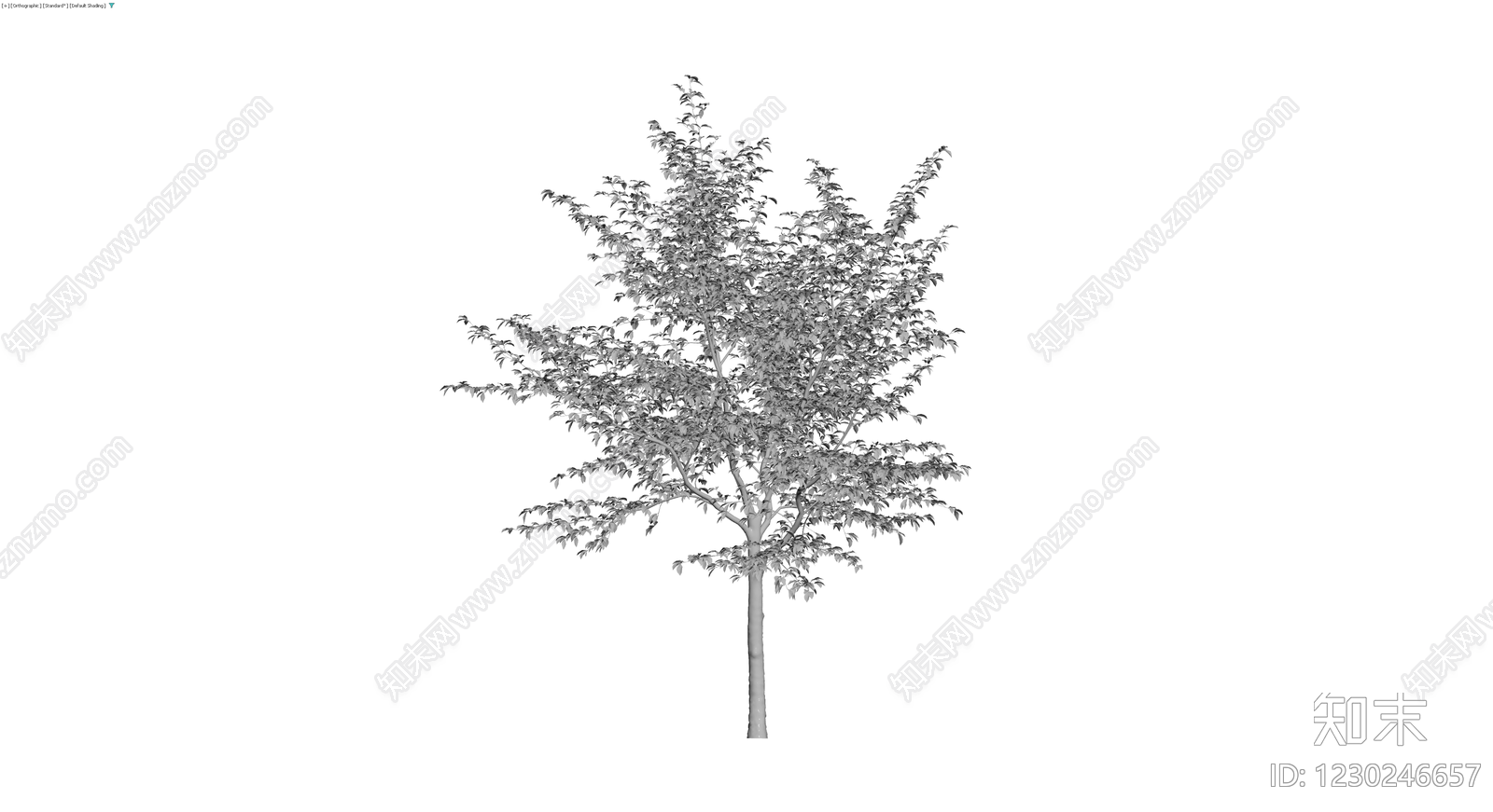 灰模景观乔木模型3D模型下载【ID:1230246657】