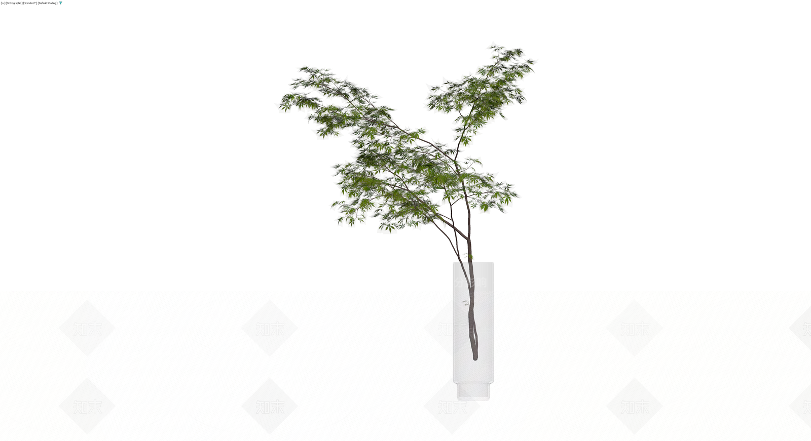 带透明花瓶的绿植盆栽3D模型下载【ID:1230735271】