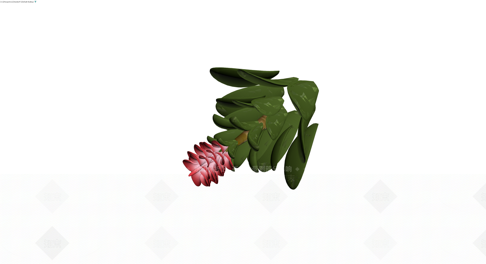 红色花卉植物模型3D模型下载【ID:1230413530】