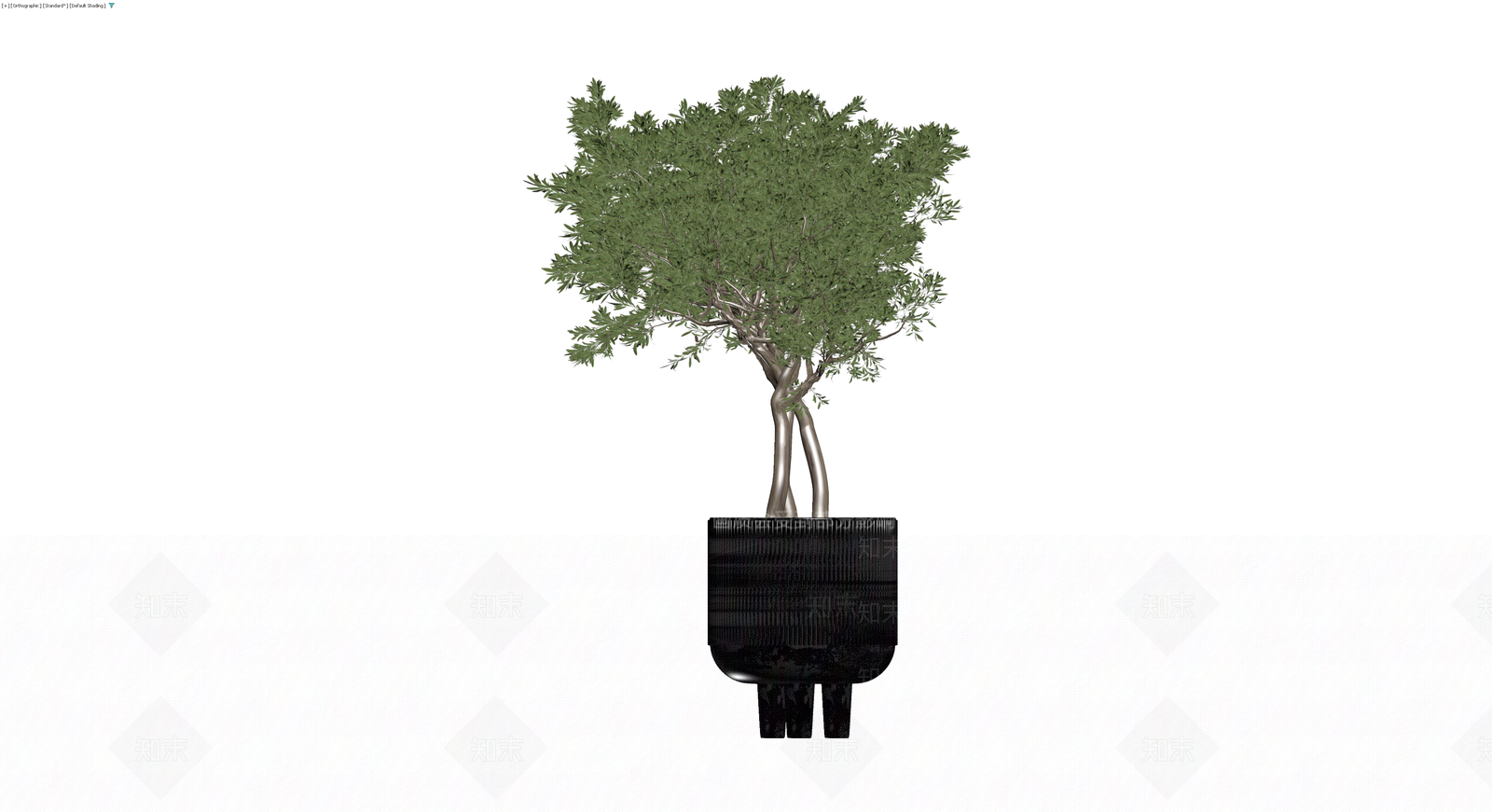 黑色纹理盆栽橄榄树3D模型下载【ID:1229905400】