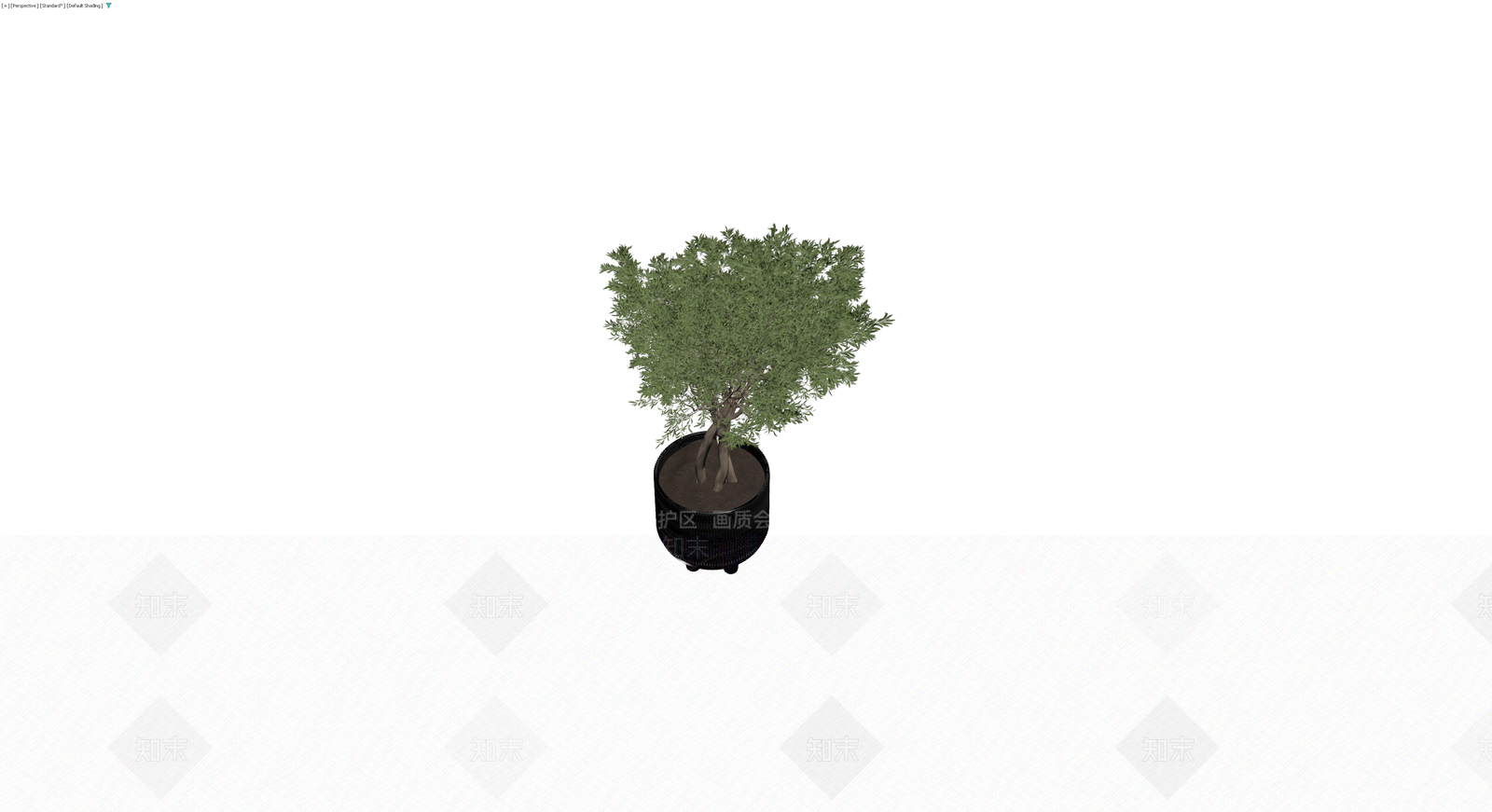 黑色纹理盆栽橄榄树3D模型下载【ID:1229905400】
