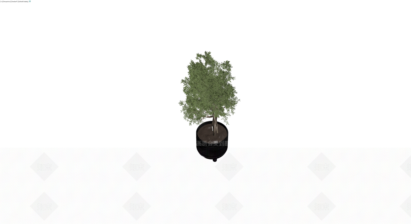 黑色纹理盆栽橄榄树3D模型下载【ID:1229905400】