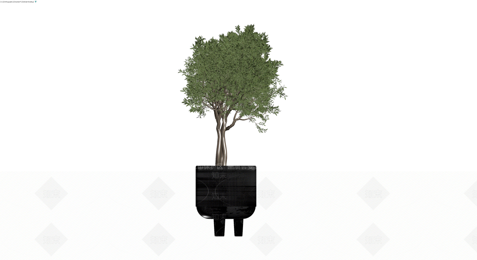 黑色纹理盆栽橄榄树3D模型下载【ID:1229905400】