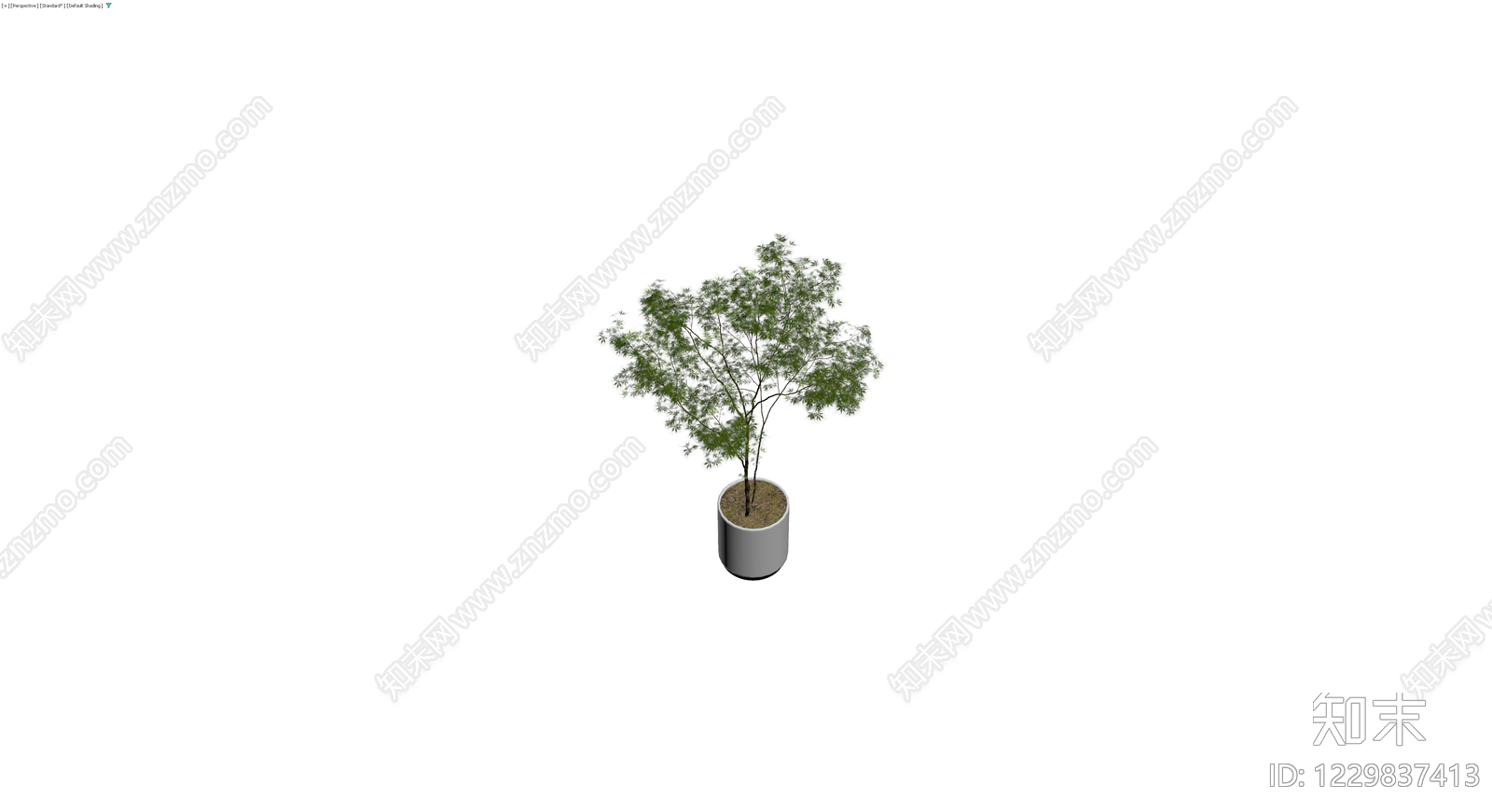 盆栽绿植模型3D模型下载【ID:1229837413】