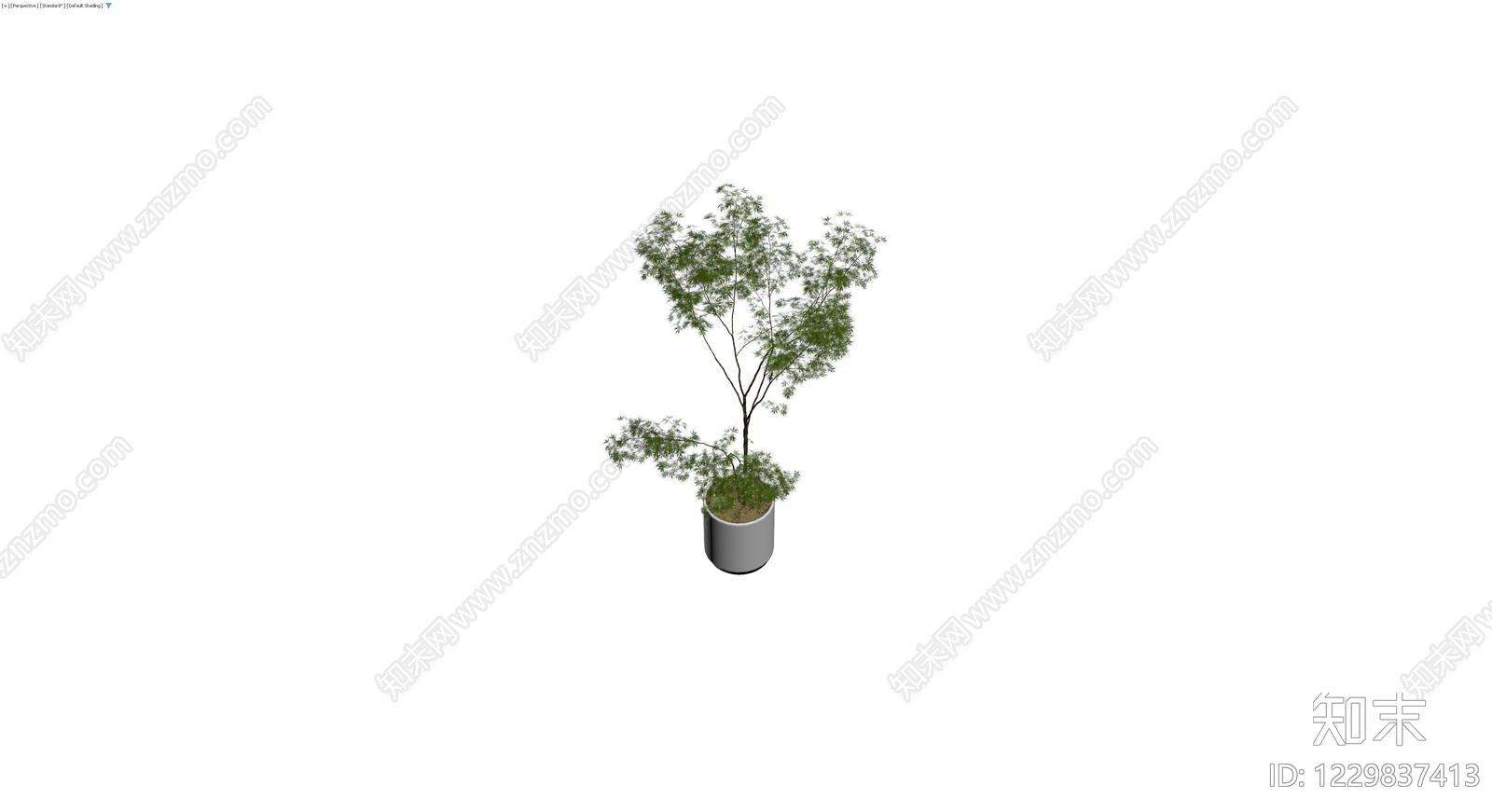 盆栽绿植模型3D模型下载【ID:1229837413】