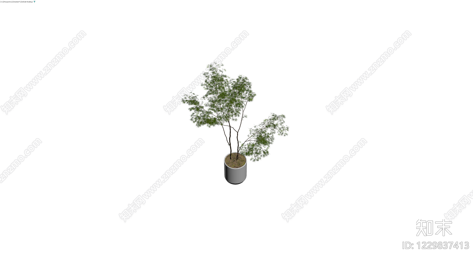 盆栽绿植模型3D模型下载【ID:1229837413】