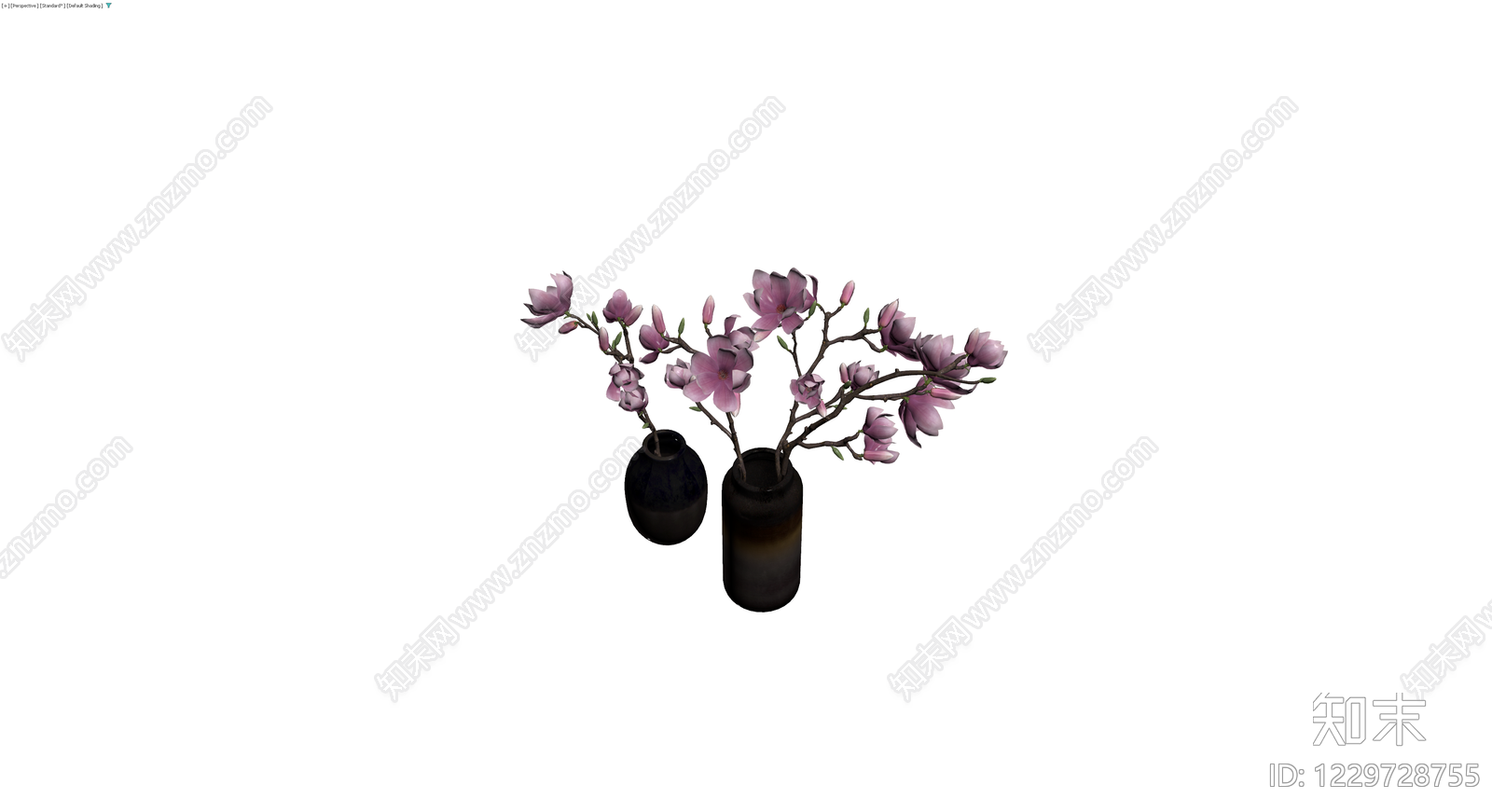 两瓶插紫玉兰盆栽组合3D模型下载【ID:1229728755】