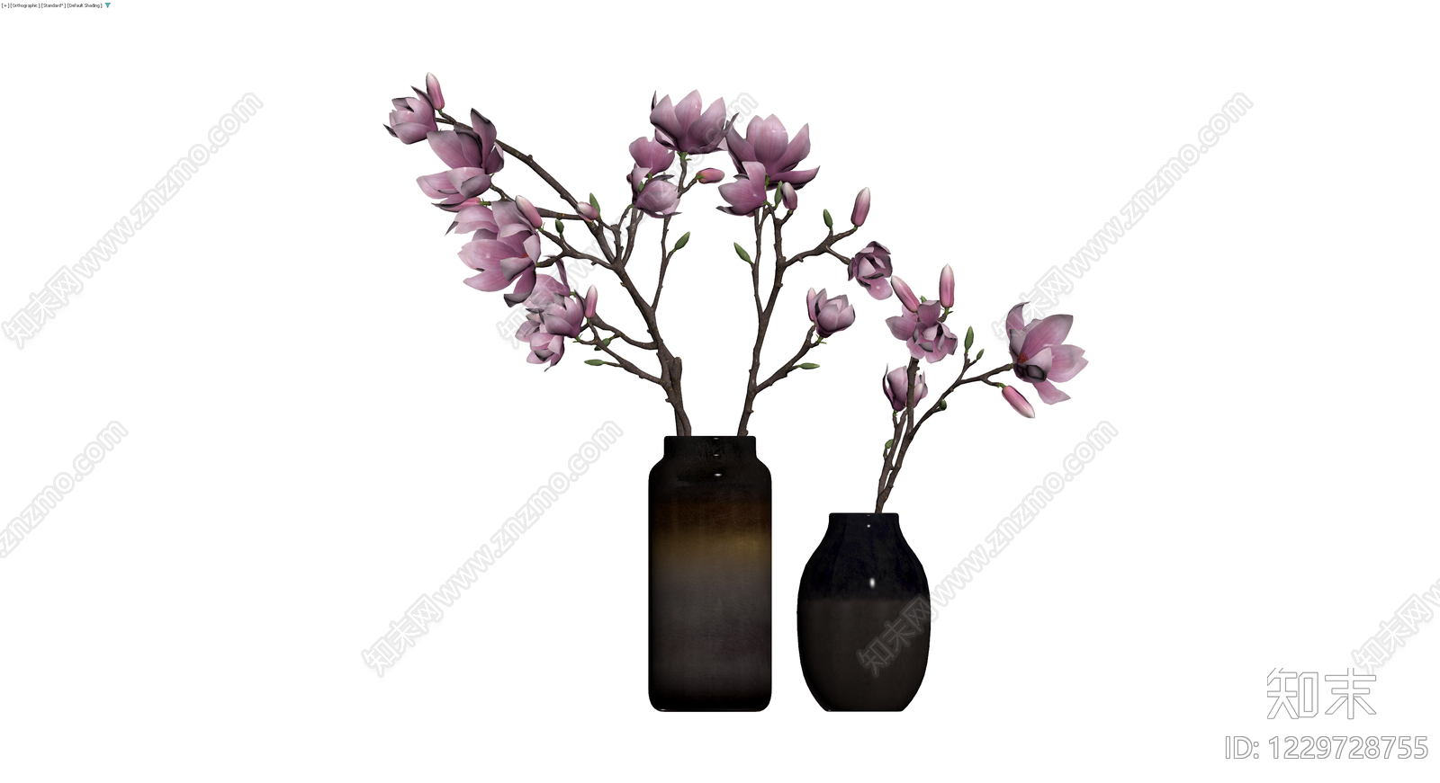 两瓶插紫玉兰盆栽组合3D模型下载【ID:1229728755】
