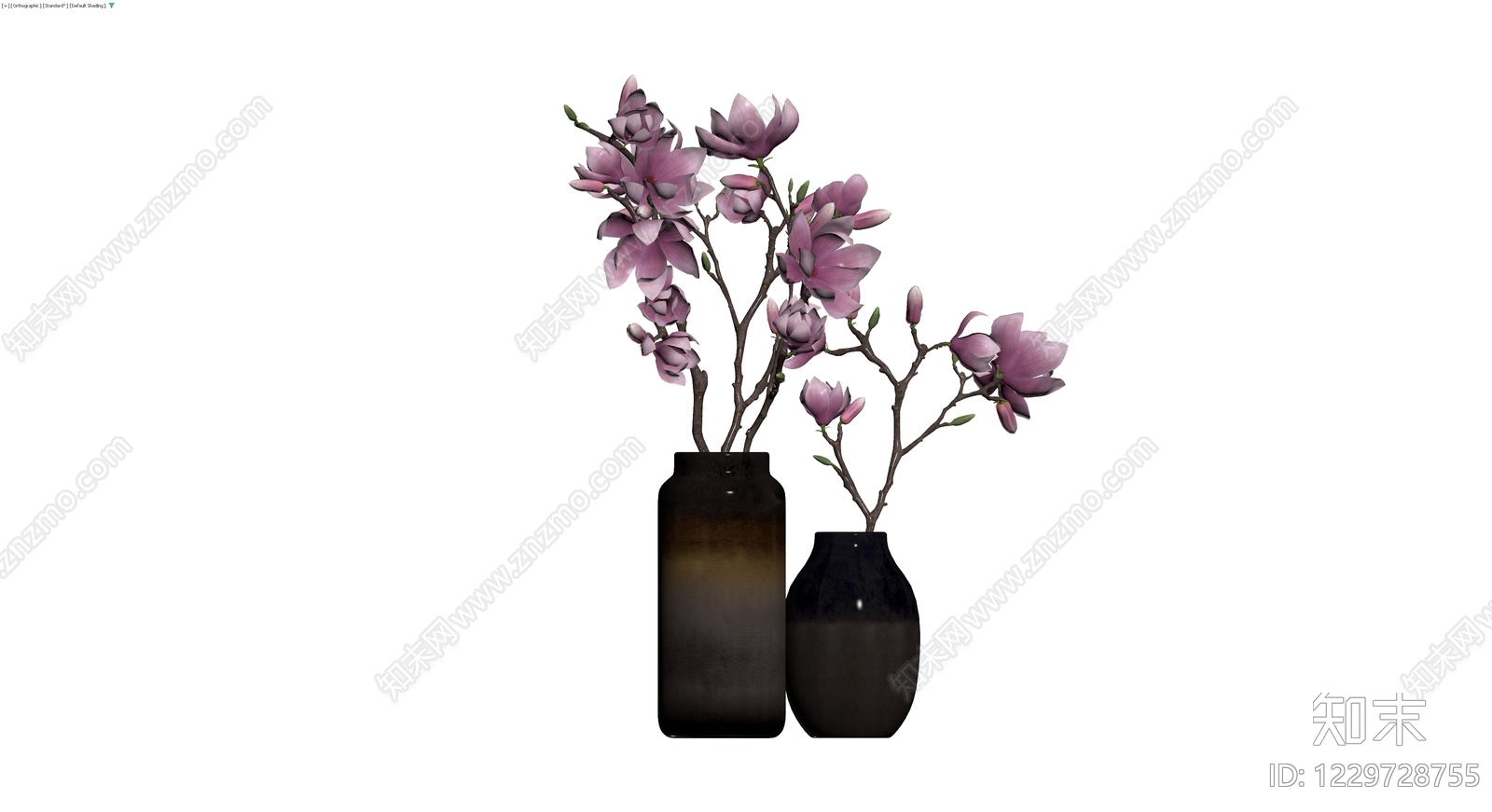 两瓶插紫玉兰盆栽组合3D模型下载【ID:1229728755】