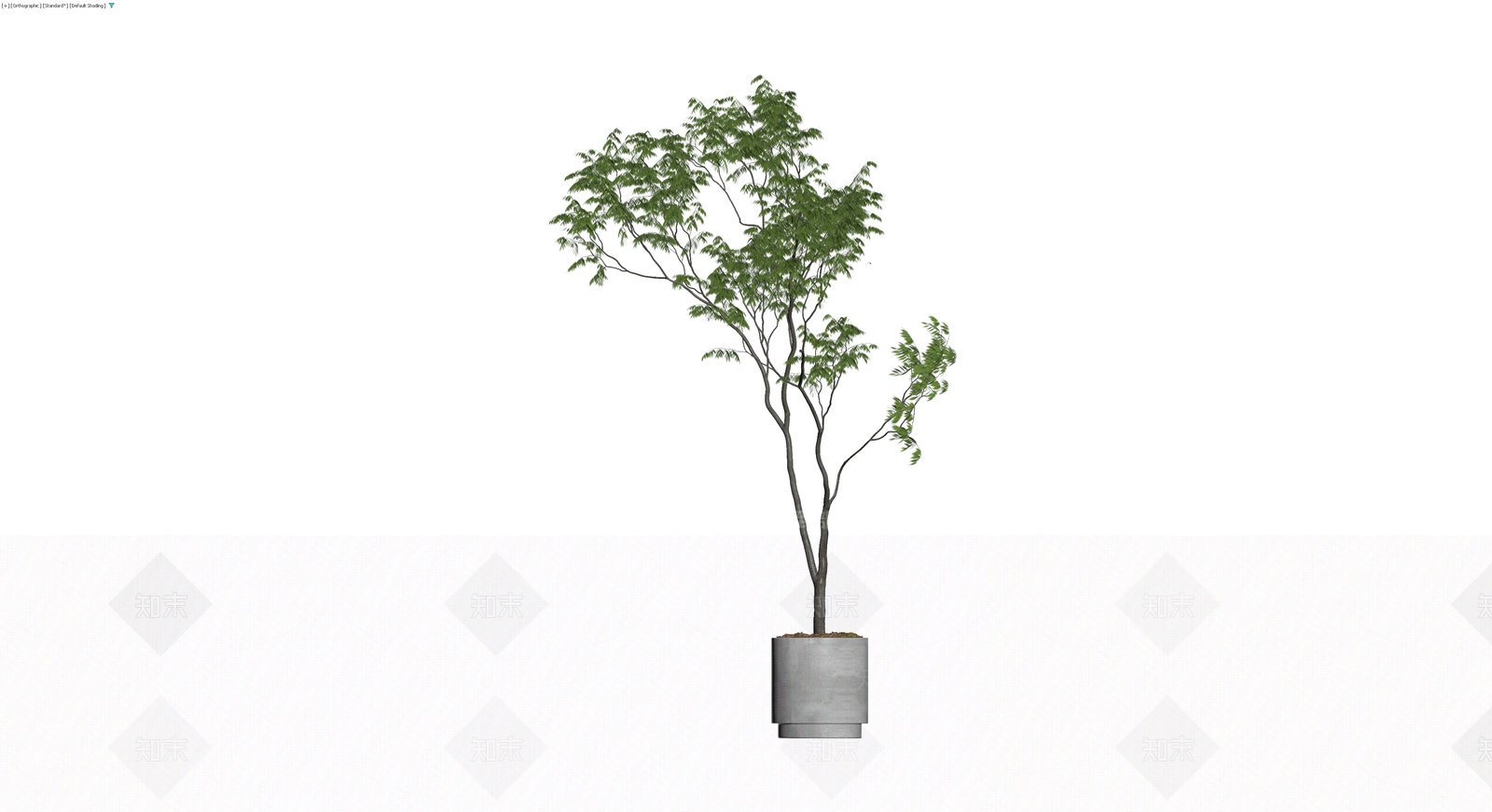 盆栽绿植带盆3D模型下载【ID:1229678693】