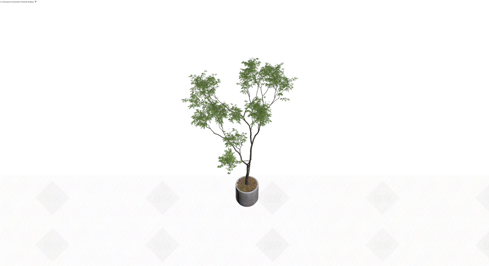 盆栽绿植带盆3D模型下载【ID:1229678693】