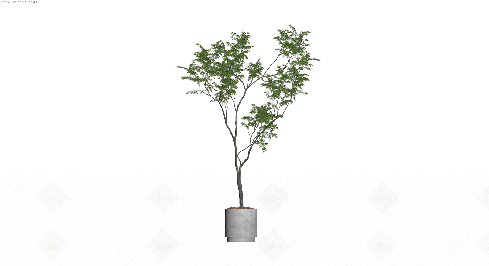 盆栽绿植带盆3D模型下载【ID:1229678693】
