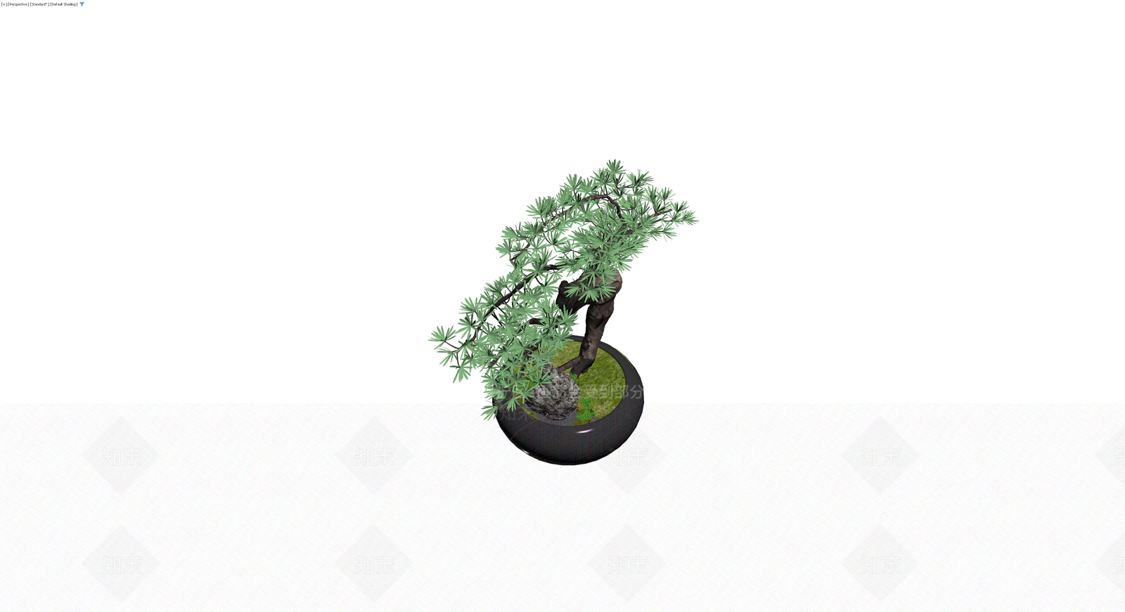 带盆松树盆景模型3D模型下载【ID:1229850620】